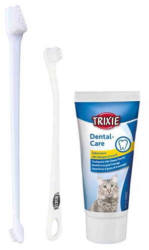 tandverzorging kat tandenborstel kat tandpasta kat 50gr kaas