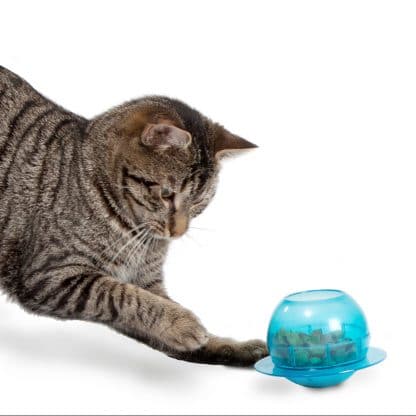 vissenkom Petsafe fishbowl kat
