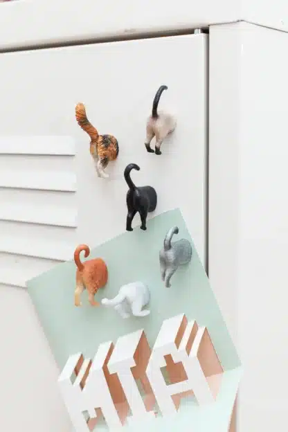 magneten kattenpoepkes