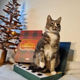 kerstboek kat kerstspeelgoed kat kerstcadeau kat